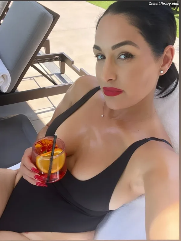 The Bella Twins photo 15 of 1421