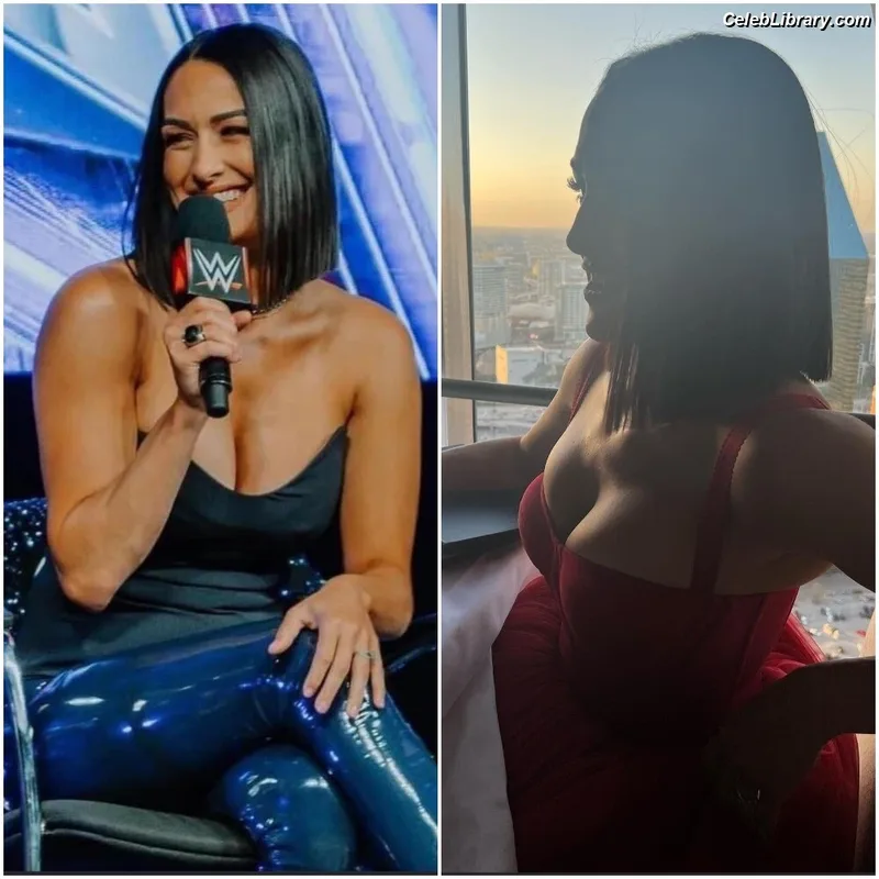 The Bella Twins photo 8 of 1421