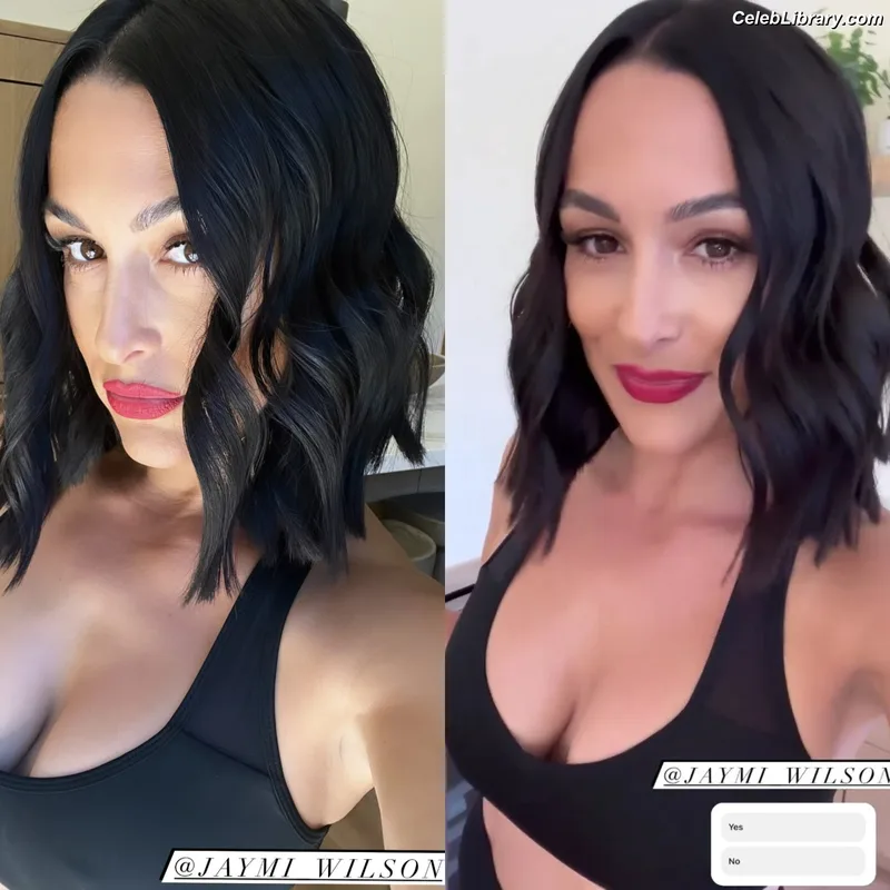The Bella Twins photo 16 of 1421