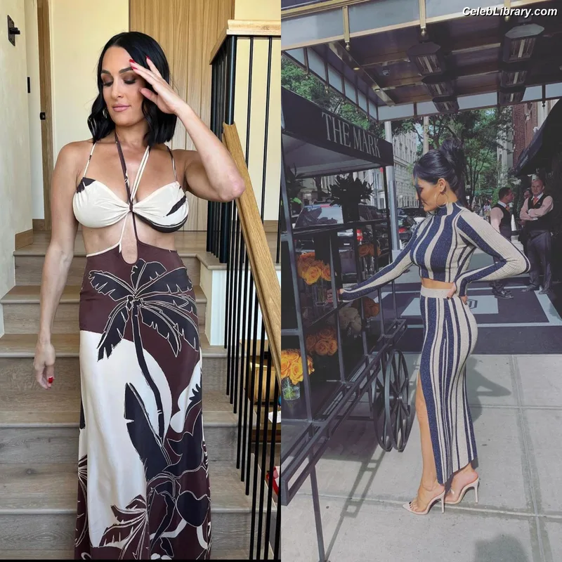 The Bella Twins photo 17 of 1421