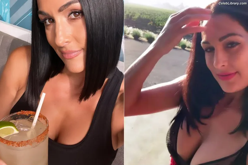 The Bella Twins photo 8 of 1421