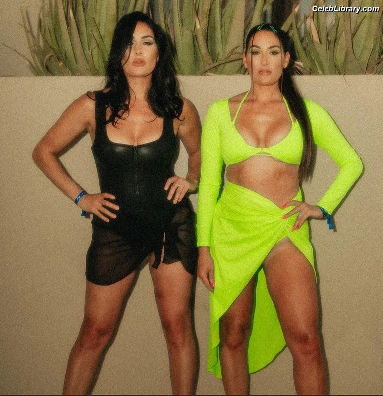 The Bella Twins photo 23 of 1421