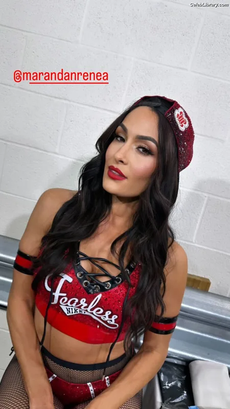 The Bella Twins photo 4 of 1421