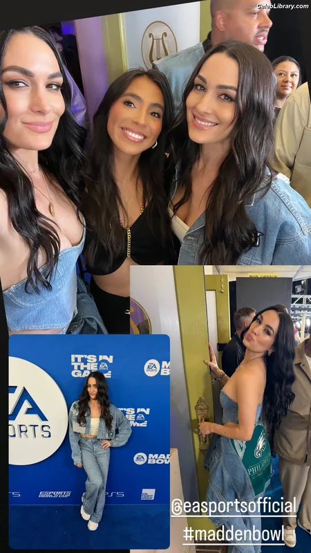 The Bella Twins photo 7 of 1421