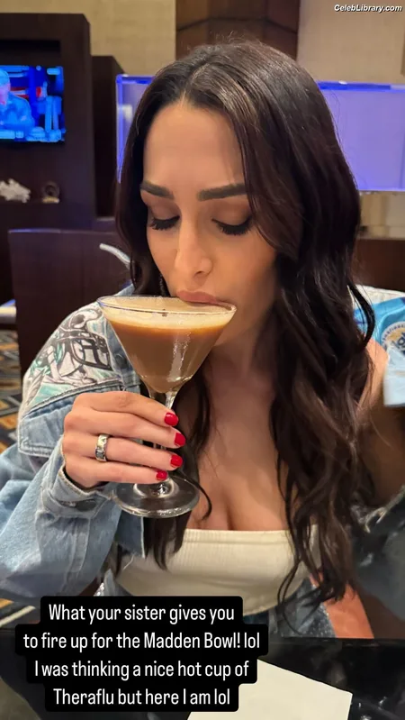 The Bella Twins photo 11 of 1421