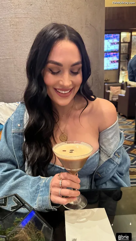 The Bella Twins photo 12 of 1421