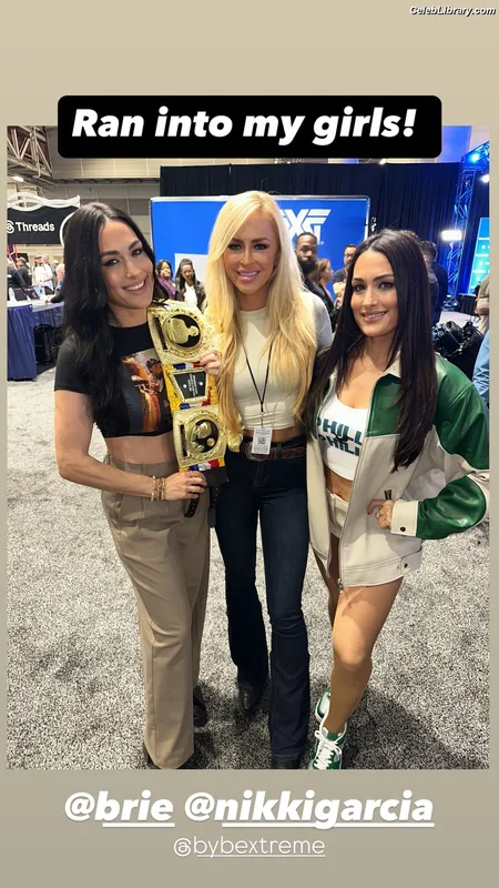 The Bella Twins photo 13 of 1421