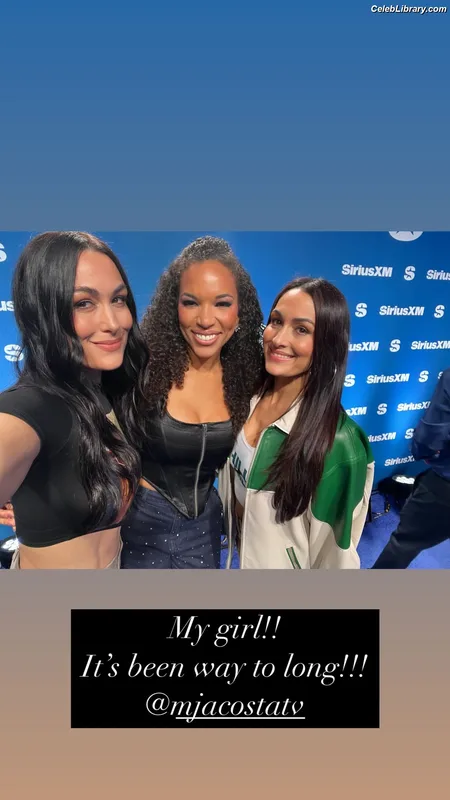 The Bella Twins photo 14 of 1421
