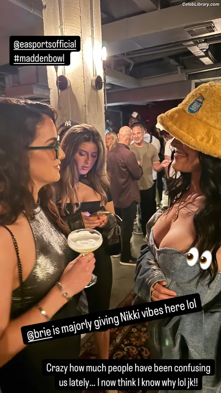 The Bella Twins photo 16 of 1421