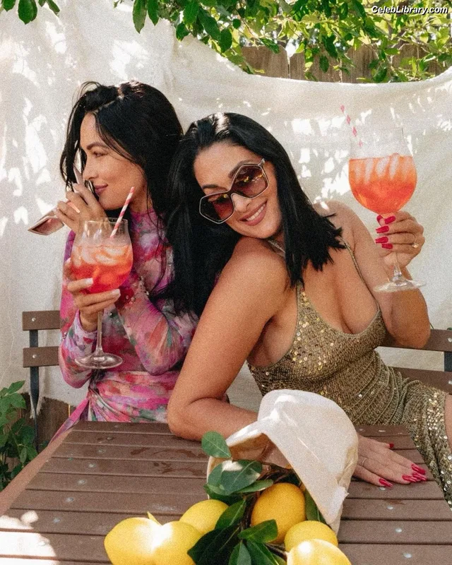 The Bella Twins photo 18 of 1421