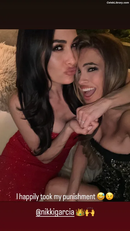 The Bella Twins photo 17 of 1421