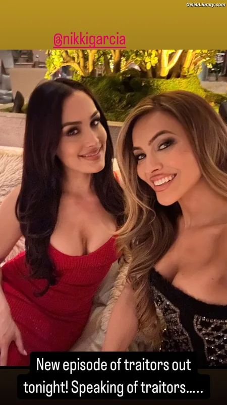 The Bella Twins photo 18 of 1421