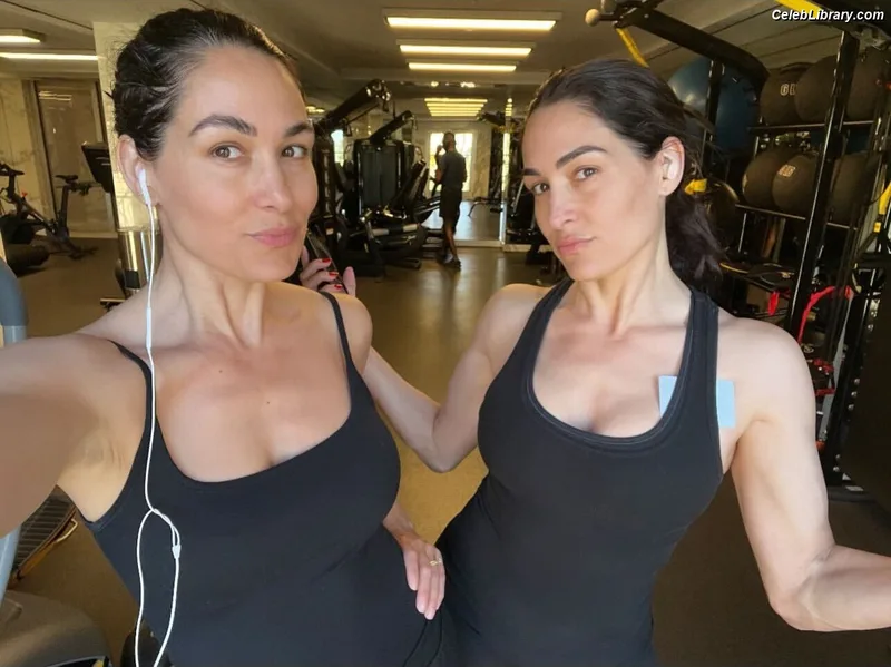The Bella Twins photo 19 of 1421