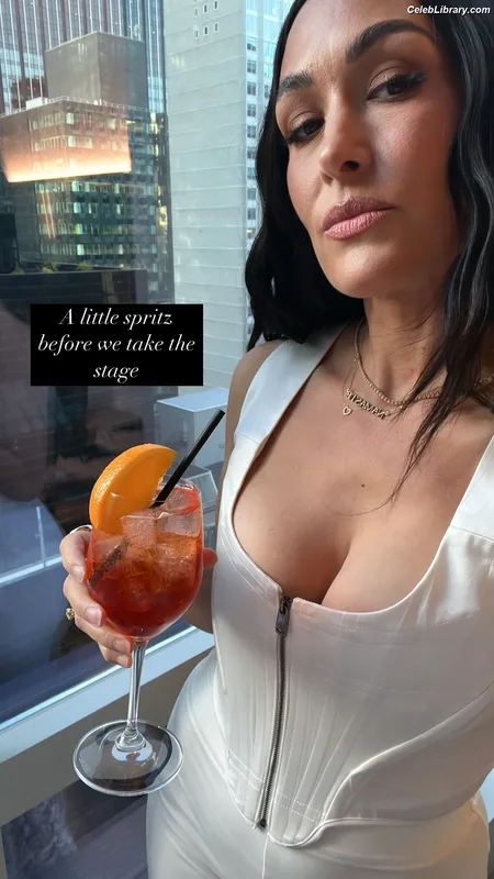 The Bella Twins photo 1 of 1421