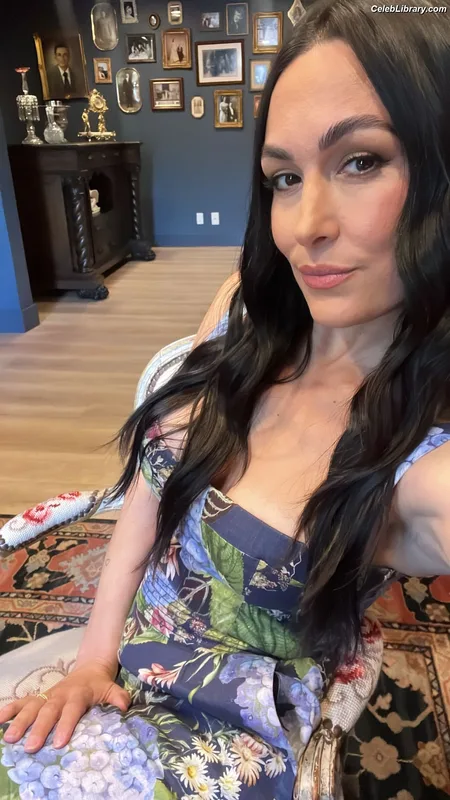 The Bella Twins photo 4 of 1421