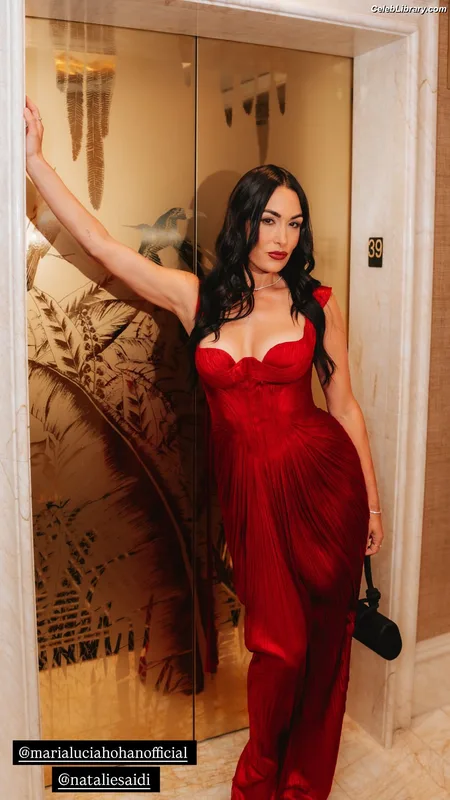 The Bella Twins photo 10 of 1421