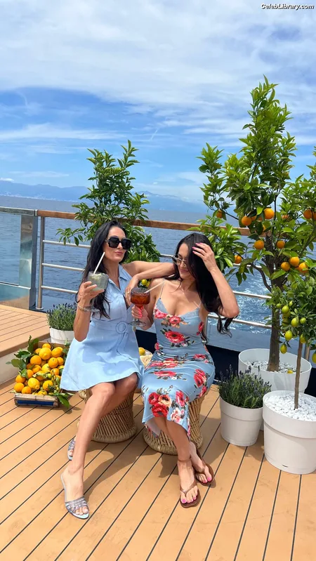 The Bella Twins photo 17 of 1421