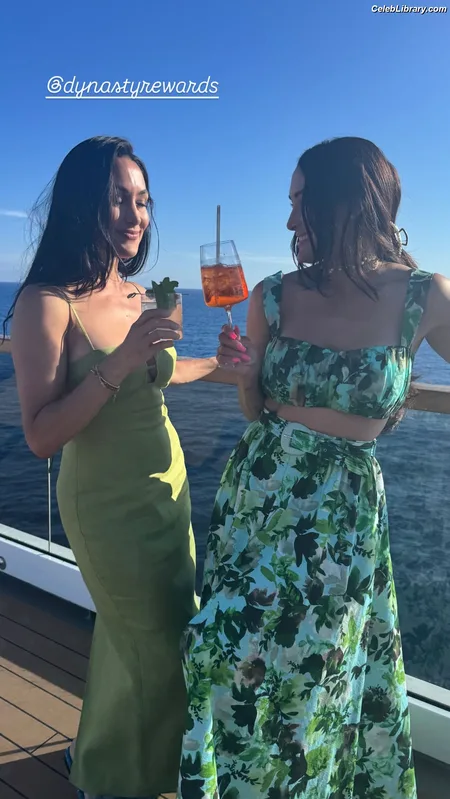The Bella Twins photo 22 of 1421