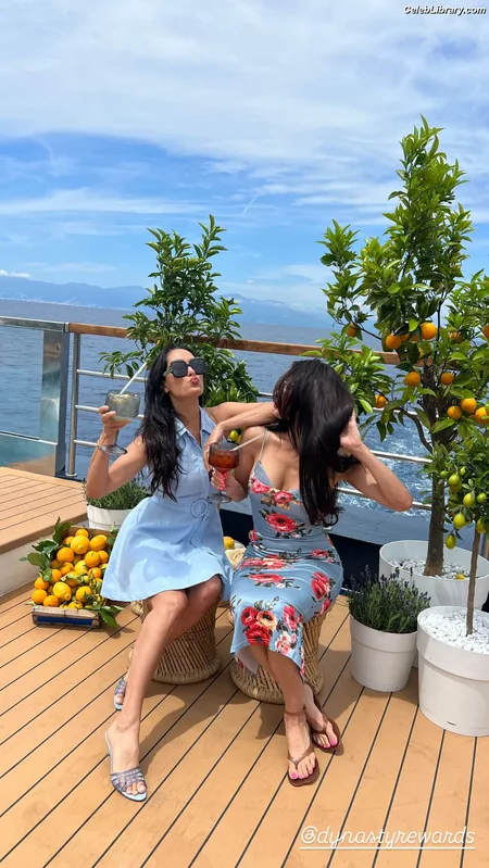 The Bella Twins photo 23 of 1421