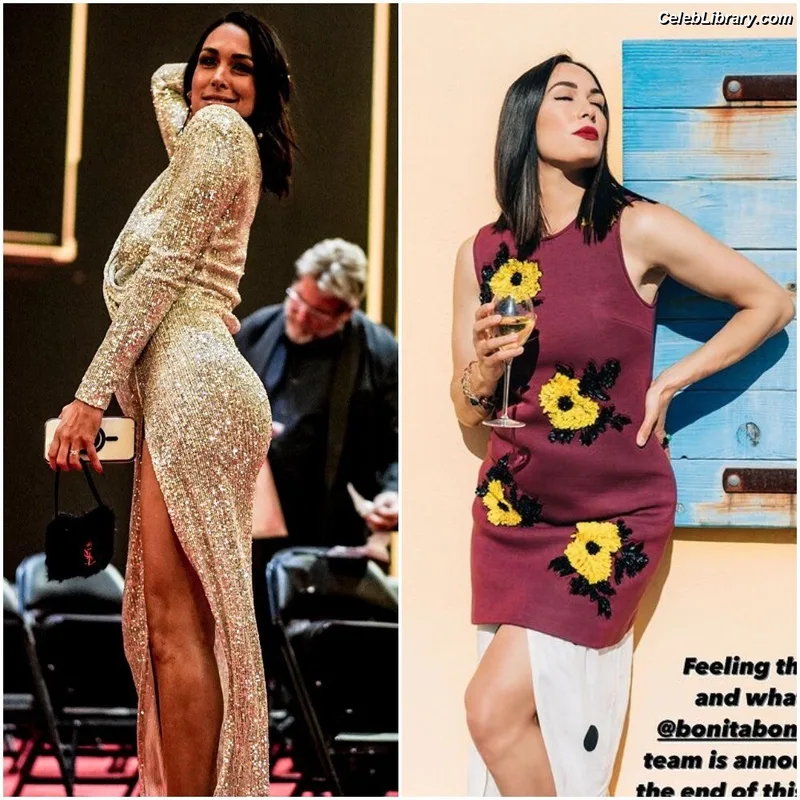 The Bella Twins photo 19 of 1421