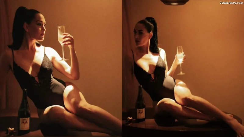 The Bella Twins photo 24 of 1421