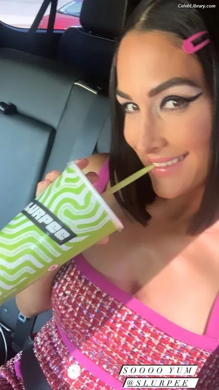 The Bella Twins photo 1 of 1421