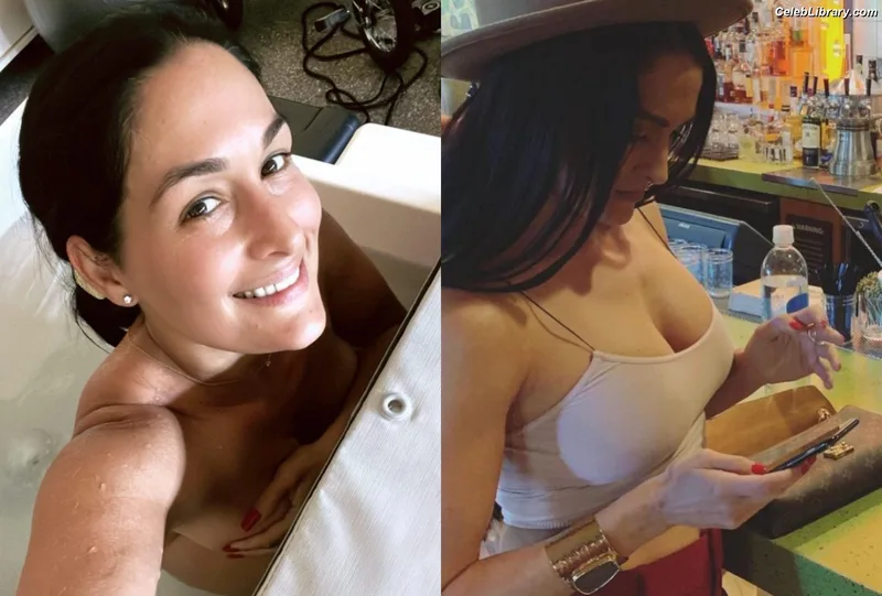 The Bella Twins photo 1 of 1421
