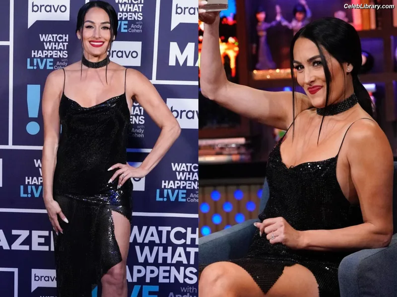 The Bella Twins photo 2 of 1421