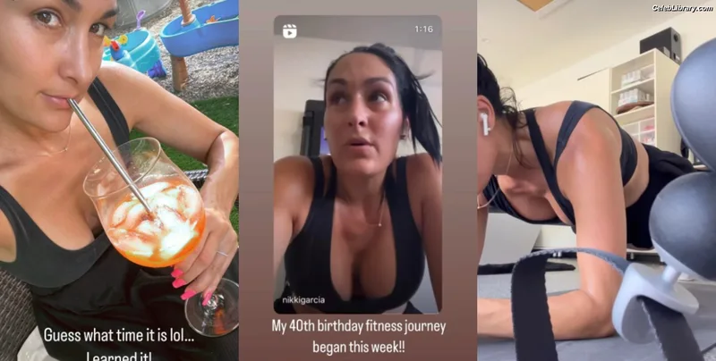 The Bella Twins photo 2 of 1421