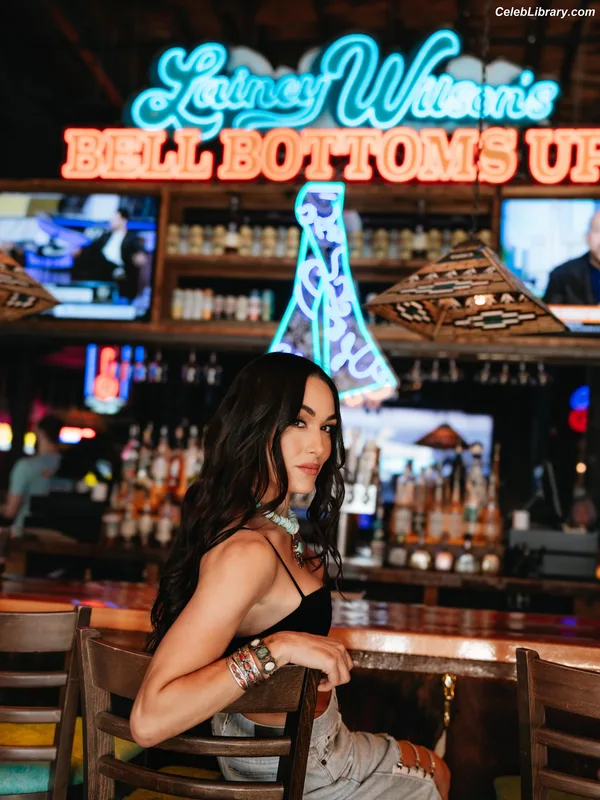 The Bella Twins photo 24 of 1421
