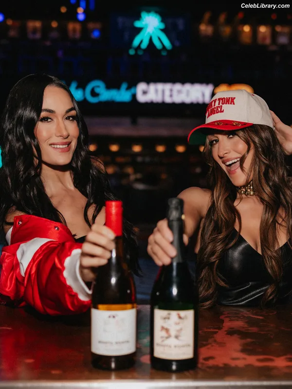The Bella Twins photo 3 of 1421