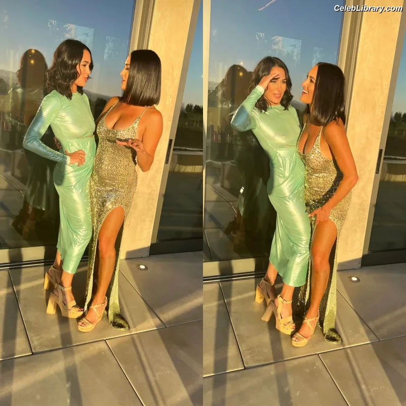 The Bella Twins photo 23 of 1421