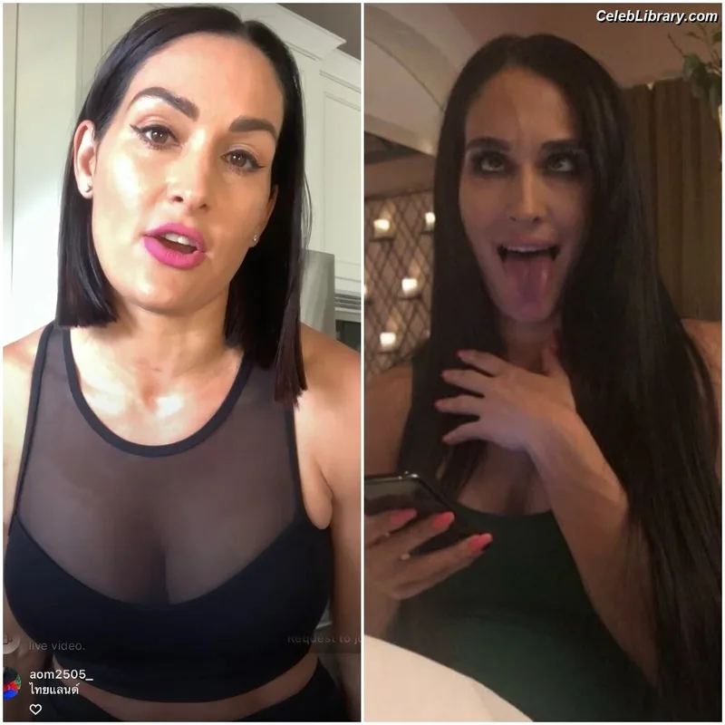The Bella Twins photo 13 of 1421