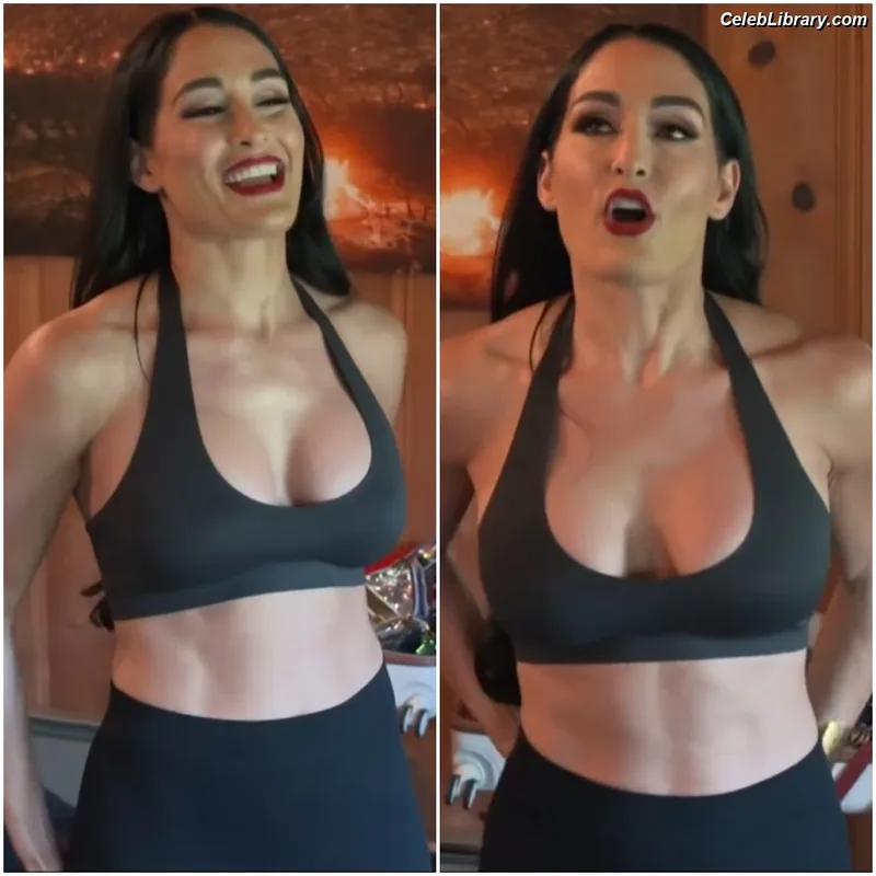 The Bella Twins photo 20 of 1421