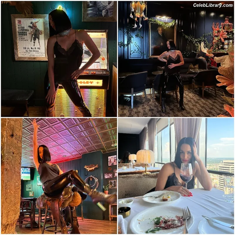 The Bella Twins photo 8 of 1421