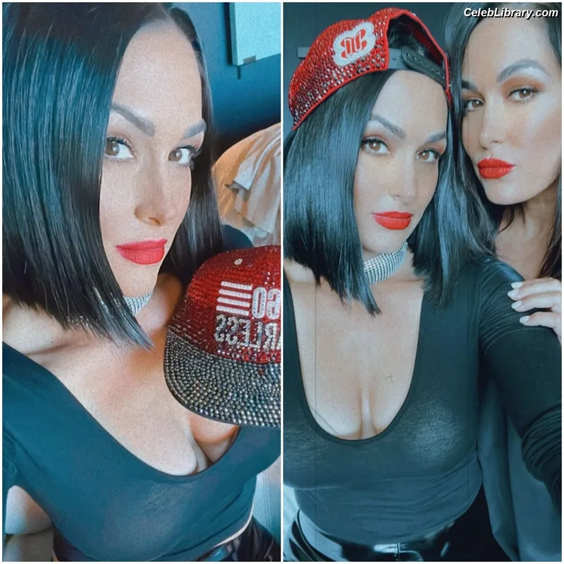 The Bella Twins photo 10 of 1421
