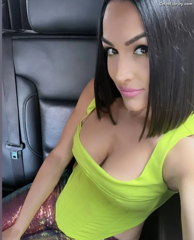 The Bella Twins photo 11 of 1421