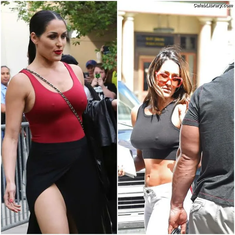 The Bella Twins photo 4 of 1421