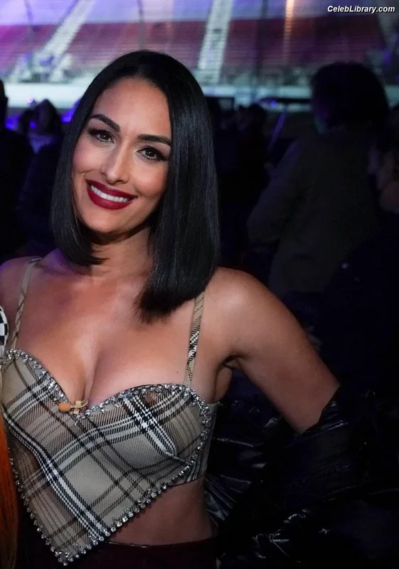 The Bella Twins photo 13 of 1421
