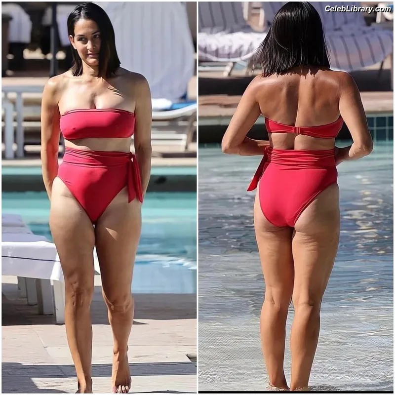 The Bella Twins photo 6 of 1421