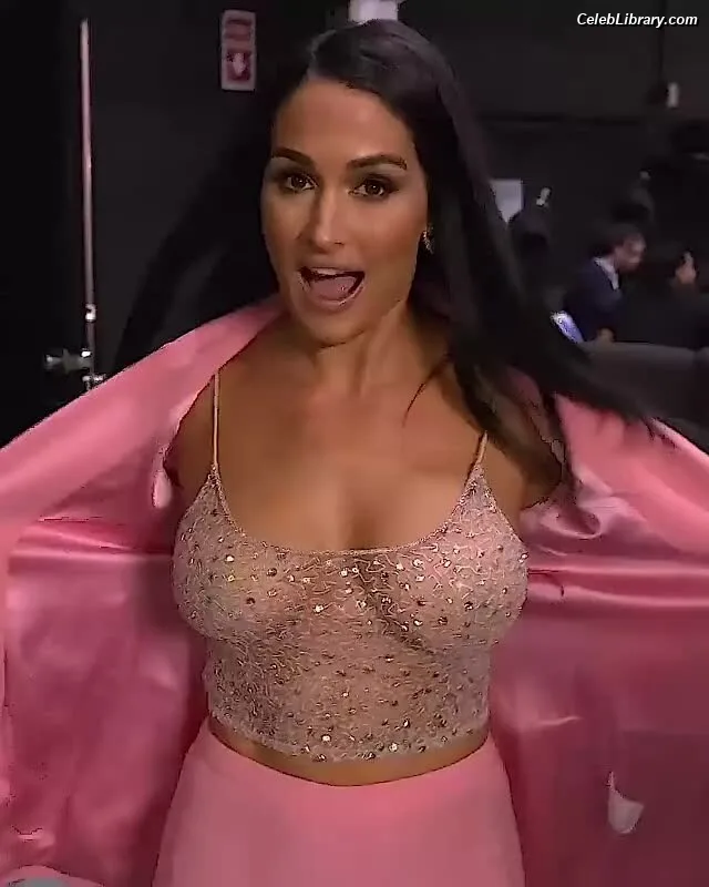 The Bella Twins photo 17 of 1421