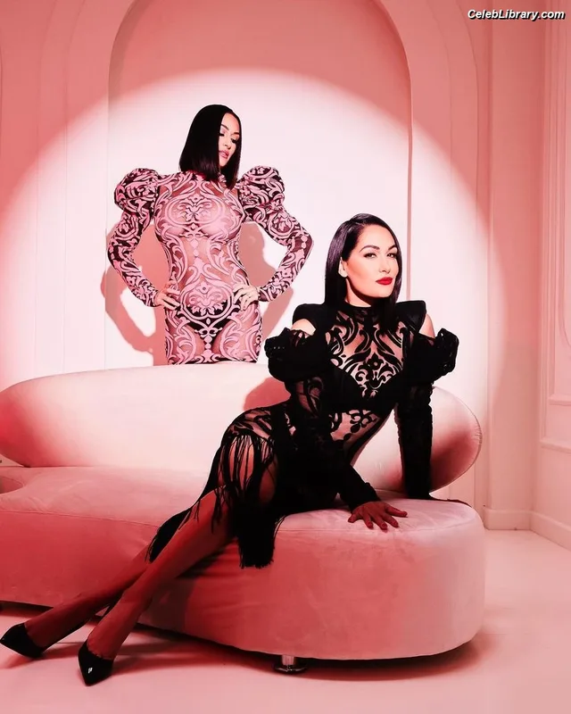 The Bella Twins photo 19 of 1421