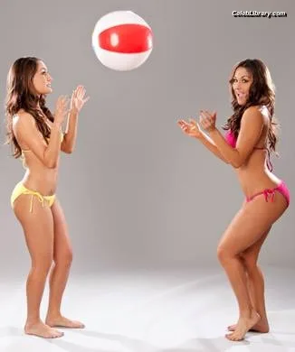The Bella Twins photo 18 of 1421