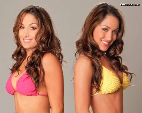 The Bella Twins photo 22 of 1421