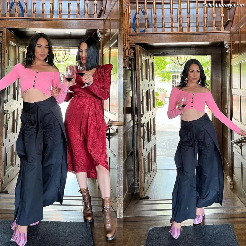 The Bella Twins photo 21 of 1421