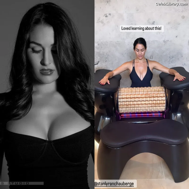 The Bella Twins photo 2 of 1421