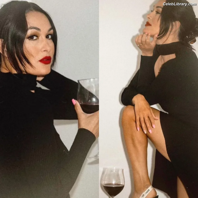 The Bella Twins photo 3 of 1421
