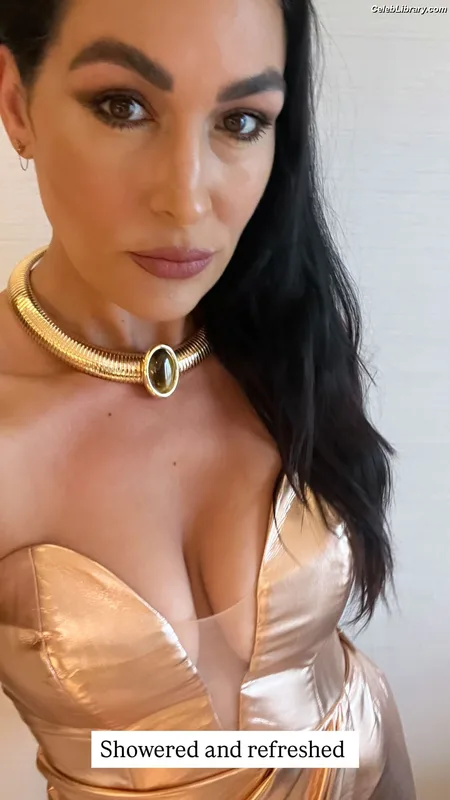 The Bella Twins photo 11 of 1421