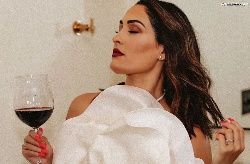 The Bella Twins photo 17 of 1421