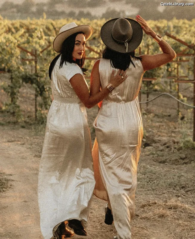 The Bella Twins photo 13 of 1421